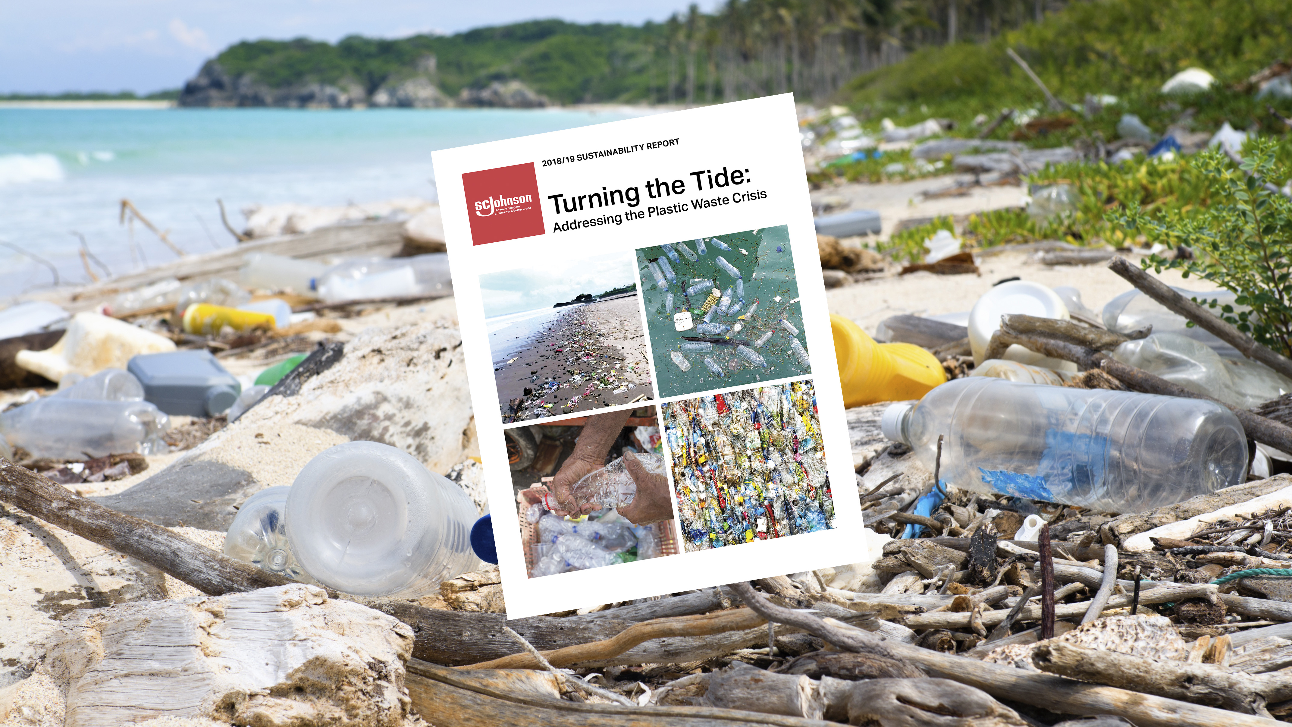 Sustainability Report  Book Cover